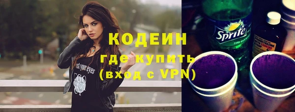 шишки Вяземский