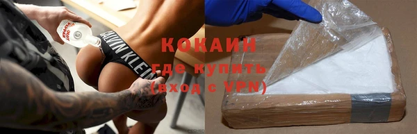 шишки Вяземский