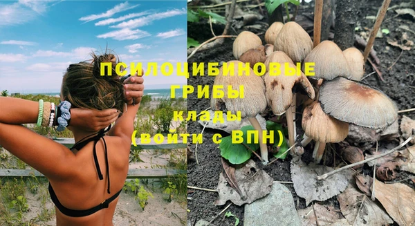 прущие крисы Вязники