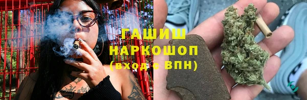 шишки Вяземский