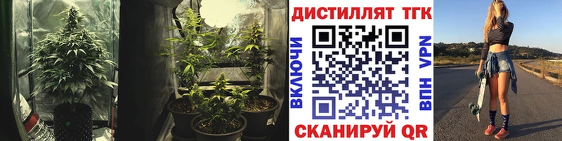 ТГК THC oil  blacksprut как зайти  Южно-Сухокумск  сколько стоит 