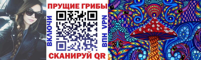 Псилоцибиновые грибы Cubensis  где найти   Южно-Сухокумск 